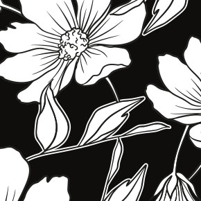 SUNWAY black and White Collection